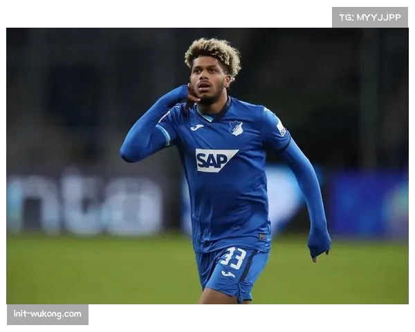 霍芬海姆最后时刻丢球，2-2被波鸿逼平